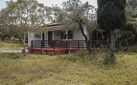 Lithies Organic Farm